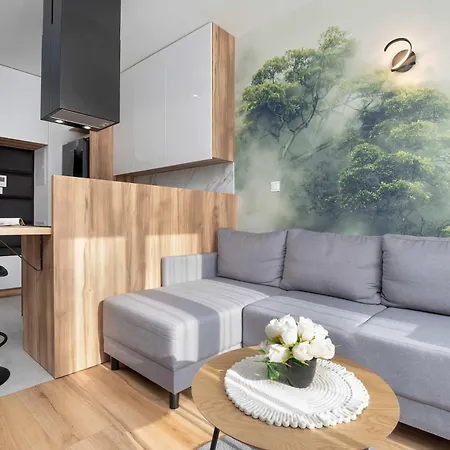Air-Conditioned Apartment In Rzeszow With Parking & Balcony By Noclegi Renters * Rzeszow