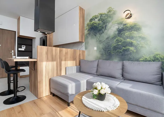 Air-conditioned In With Parking By Renters * Rzeszów