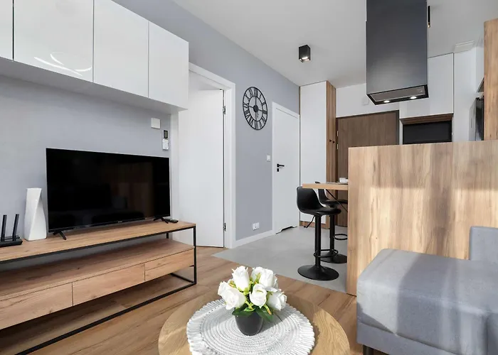 Air-conditioned In With Parking By Renters Апартаменты Жешув